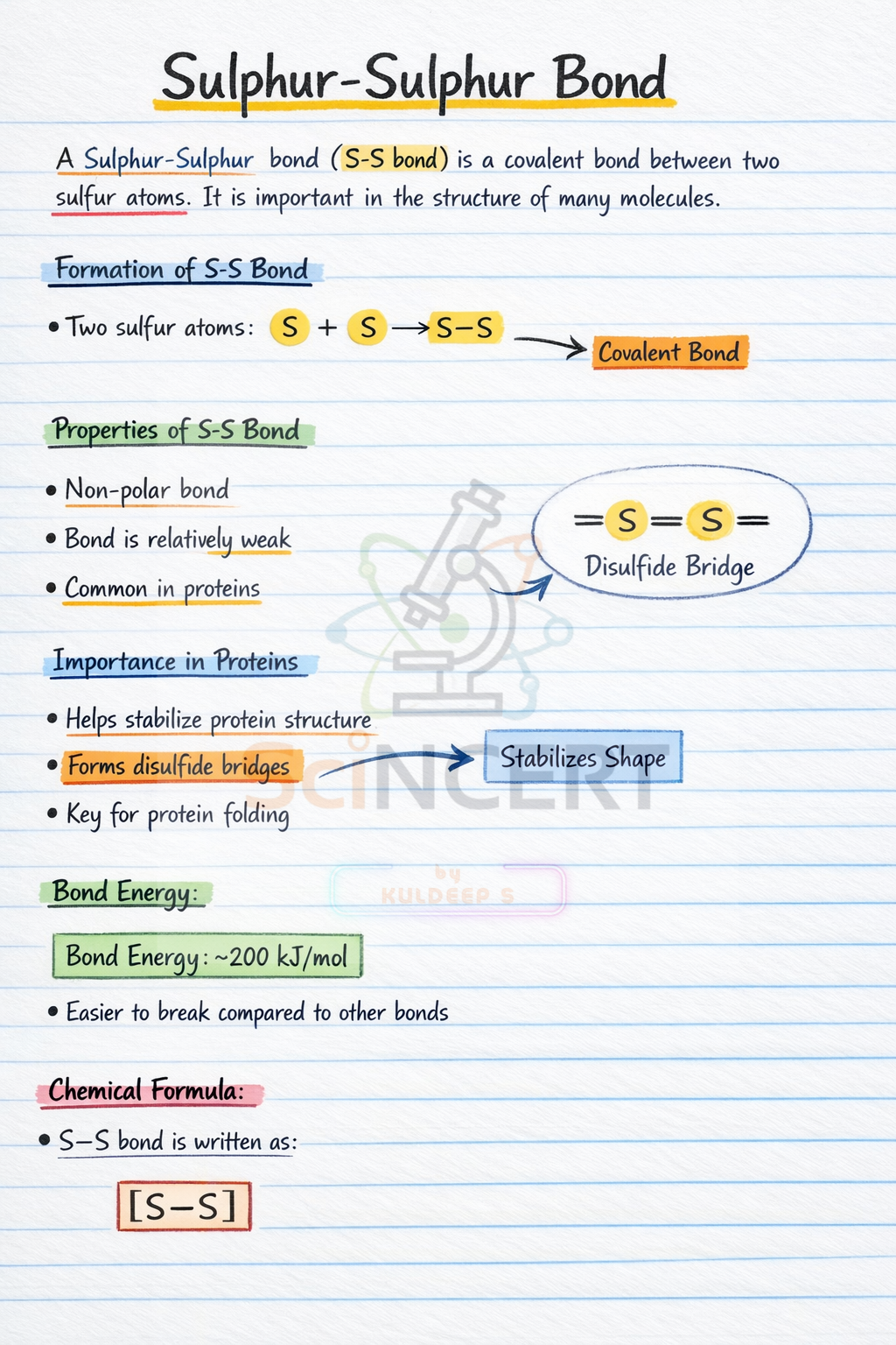 Turn Any Topic into Beautiful AI Study Notes in Seconds,Let AI Turn Them into Smart Study Pages,Generate Notes, Slides & Study Pages Instantly,Use AI to Generate Smart Study Notes
